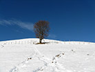 invernale al Monte Ponciv