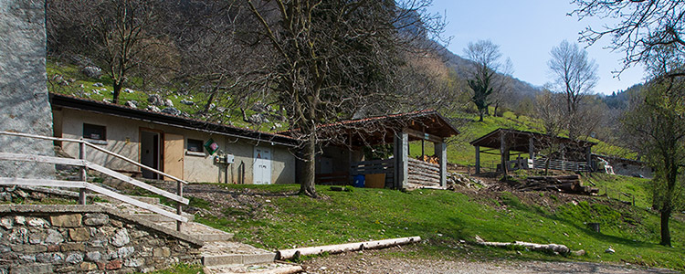 Terz'Alpe Terz'Alpe