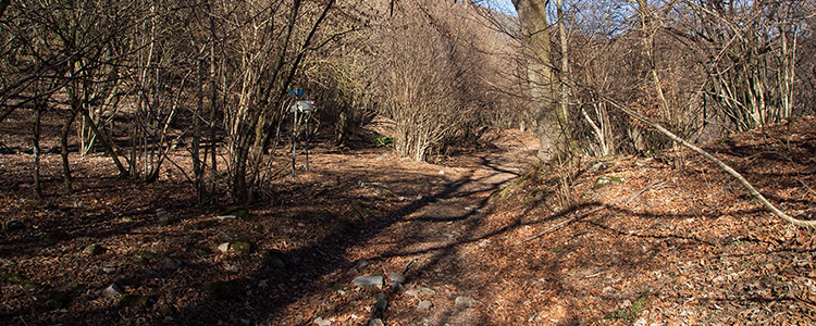 Monte Palanzone la cresta sud-est e la cima Monte Palanzone la cresta sud-est e la cima