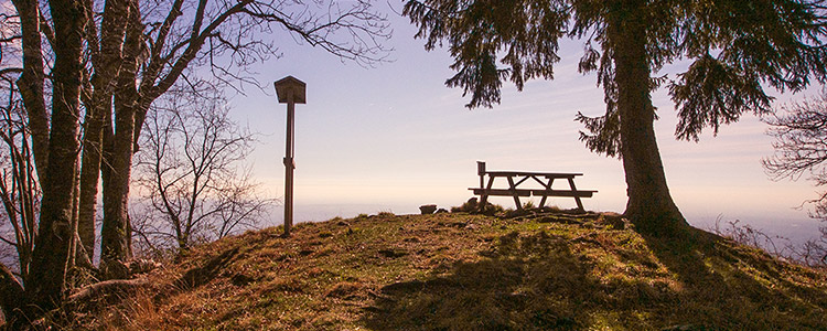 la cima del Monte Barzaghino