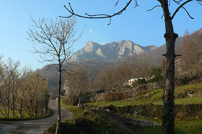 click per entrare nel sito